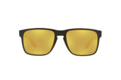 Occhiali Da Sole Oakley Holbrook XL Montatura: Matte Black Lenti: Prizm Gold Polarized -Bunbyn Snow Negozio 3 2 1