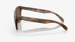 Occhiali Da Sole Oakley Frogskins Montatura: MATTE BROWN TORTOISE Lenti PRIZM TUNGSTEN -Bunbyn Snow Negozio IMG 1275